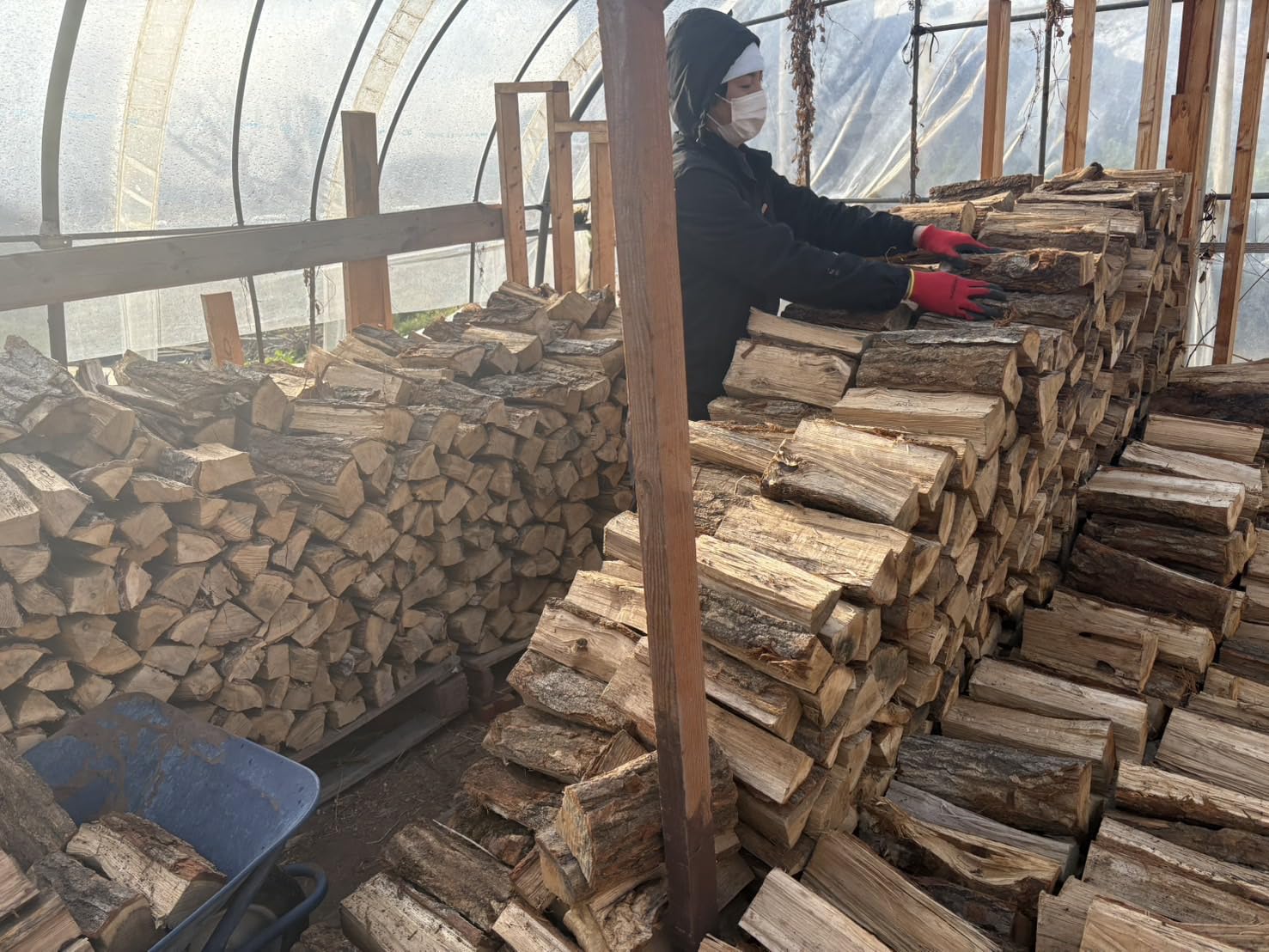 Amazon.co.jp: 薪 広葉樹（ナラ 100％） 山形産 約18kg~20kg キャンプ